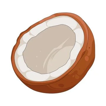 Illustration of coconut Stockillustratie