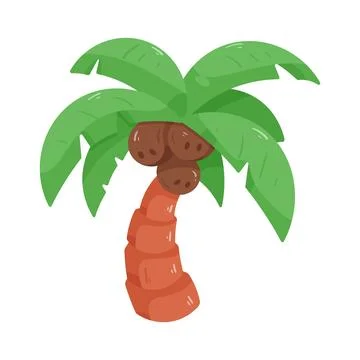 Illustration of coconut tree Stock Illustration