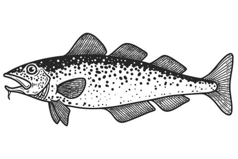 Illustration of cod  fish in engraving style. Design element for logo, label, Illustrazione stock