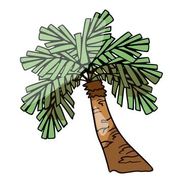 Illustration of a colored palm tree in doodle style Illustrazione stock