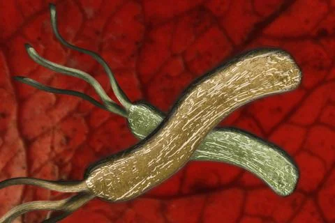 Illustration of colorful microbes Stock Illustration