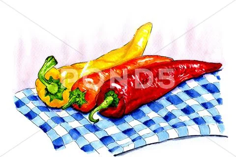 Illustration of colorful peppers Stock Illustration