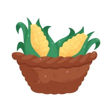 Illustration of Corn in a basket Illustration