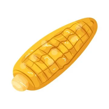 Illustration of corn cob Illustration