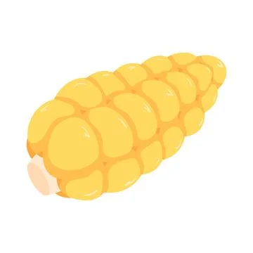 Illustration of corn cob Illustration