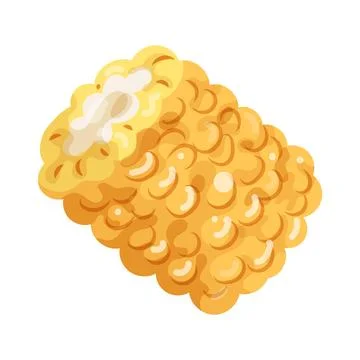 Illustration of corn cob Illustration