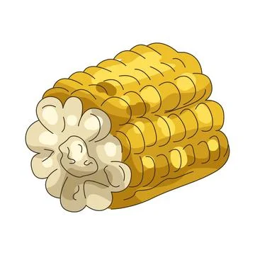 Illustration of Corn Ilustración de archivo