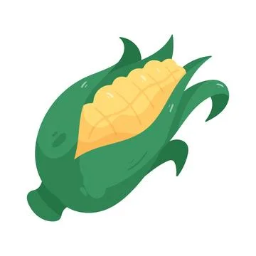 Illustration of corn Illustration
