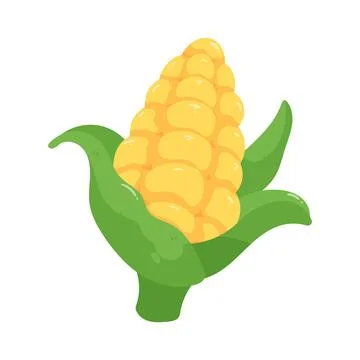 Illustration of corn Illustration