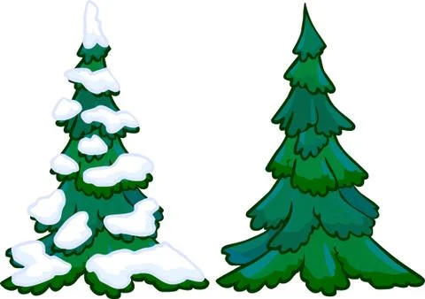 Illustration of cotifer tree. isolated 스톡 일러스트