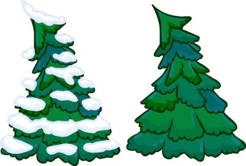 Illustration of cotifer tree. isolated 스톡 일러스트