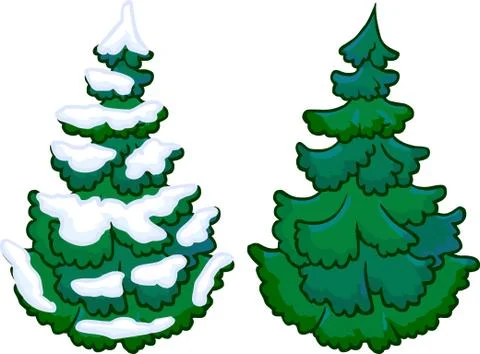 Illustration of cotifer tree. isolated 스톡 일러스트