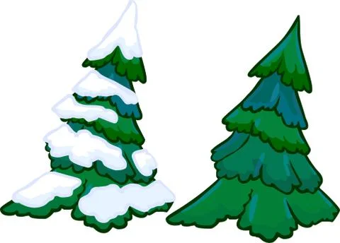 Illustration of cotifer tree. isolated Stock Illustration