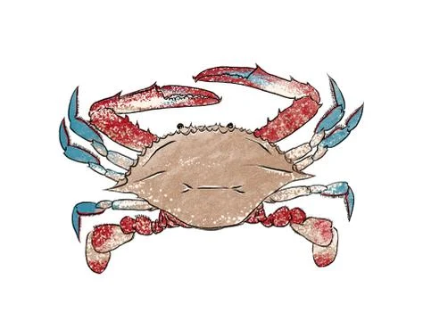 Illustration of Crab Stock Illustration
