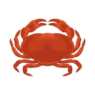 Illustration of Crab Stock Illustration