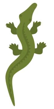 Illustration of crocodile Stock Illustration