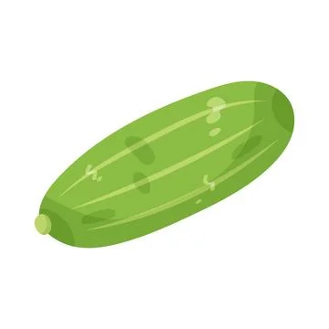 Illustration of cucumber Illustration