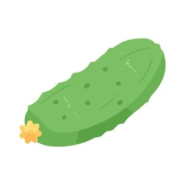 Illustration of cucumber Illustration