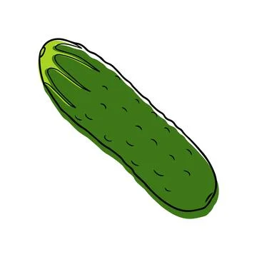 Illustration of a cucumber in a linear style. Stock Illustration