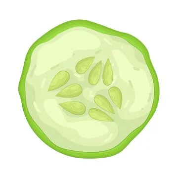 Illustration of cucumber slice Illustrazione stock