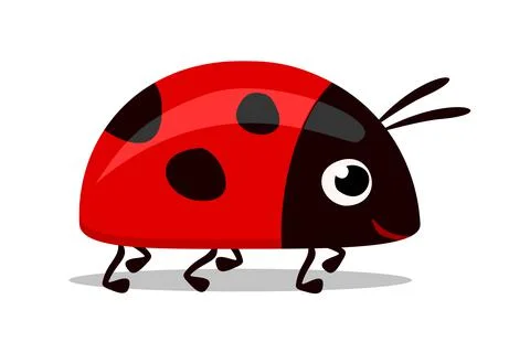 Illustration of a cute red lady bug isolated on a white background Stock Illustration