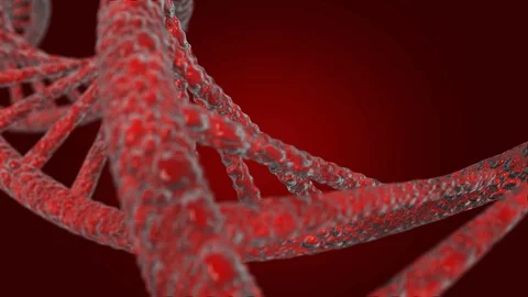 Illustration D N A or (Deoxyribonucleic Acid), 3D model on a red background Stock Footage 109498446
