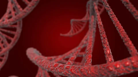 Illustration D N A or (Deoxyribonucleic Acid), 3D model on a red background Stock Footage 109498469