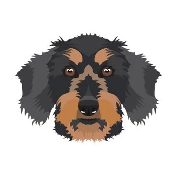 Illustration Dachshund. Stock Illustration