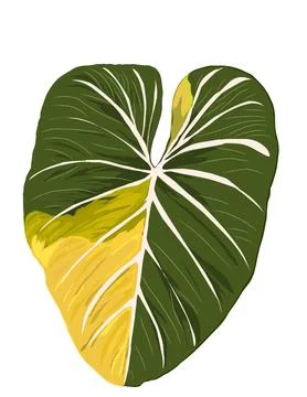 Illustration dark phoenix pink veins leaf. Stock Illustration