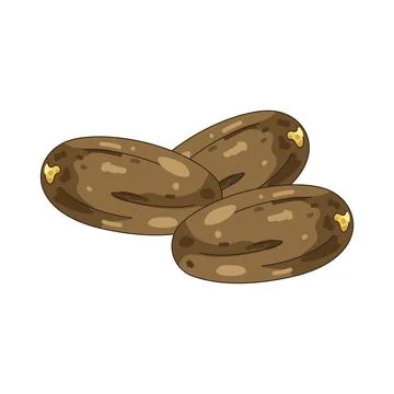 Illustration of Date fruit イラスト素材