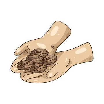 Illustration of Dates fruit Stock Illustration