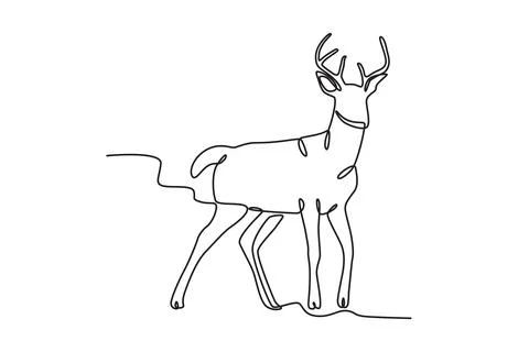 Illustration of a deer Stock Illustration