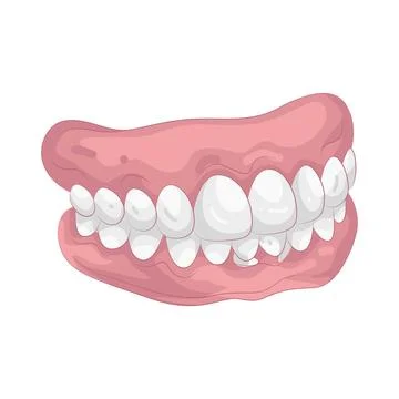 Illustration of Dentures Stock Illustration