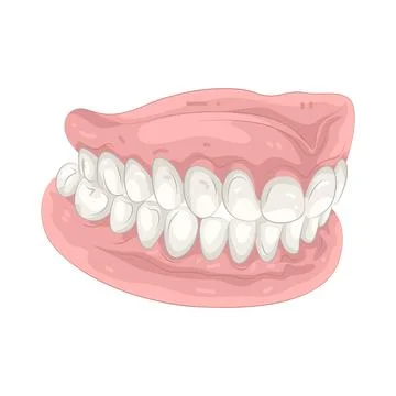 Illustration of Dentures Stock Illustration