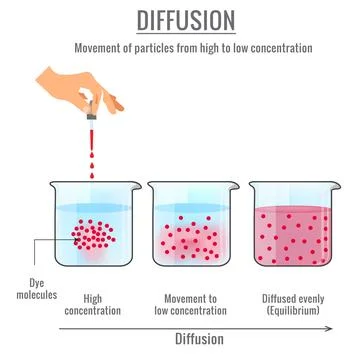 Illustration depicting the scientific phenomenon of diffusion Stock Illustration