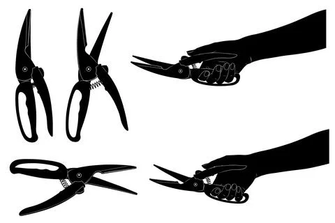 Illustration of different kitchen scissors Stock Illustration