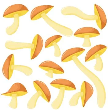 Illustration of different mushrooms suillus of different shapes. Vector Stock-Illustration