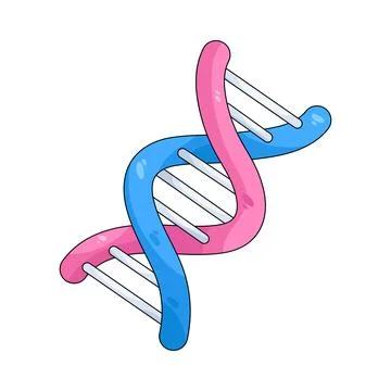 Illustration of DNA double helix Stock Illustration