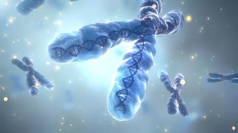 Illustration DNA molecules with antiparallel structure Stock Illustration