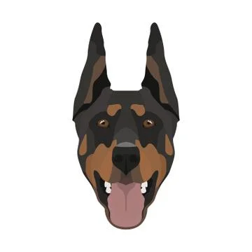 Illustration Doberman. Stock Illustration