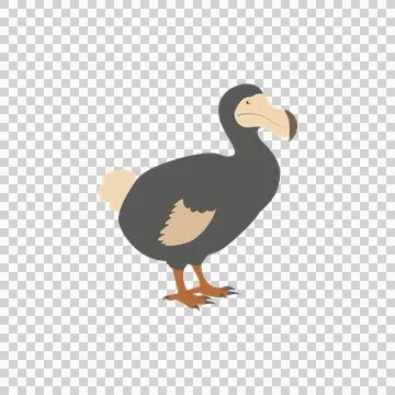 Illustration of a Dodo Bird Stock Illustration