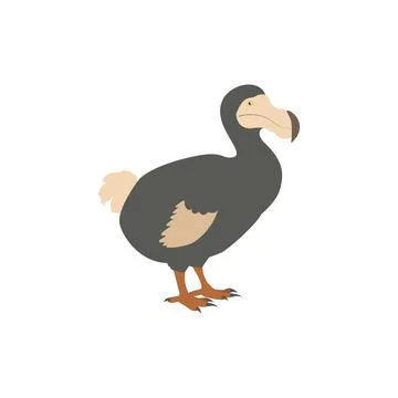 Illustration of a Dodo Bird Stock Illustration