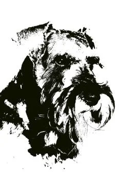 Illustration of a dog Stock Illustration