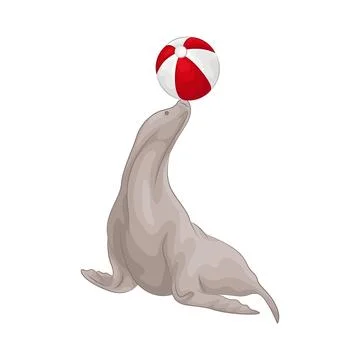 Illustration of dolphin attraction Illustrazione stock