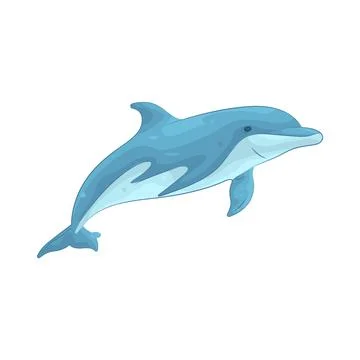 Illustration of dolphin Stockillustratie