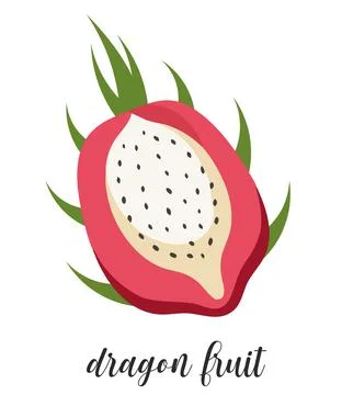 Illustration of dragon fruit Stock Illustration