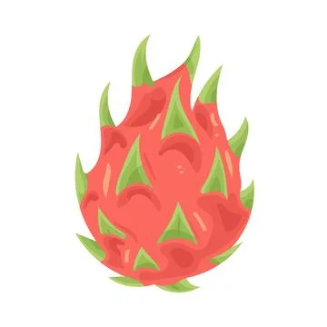 Illustration of dragon fruit Stock Illustration