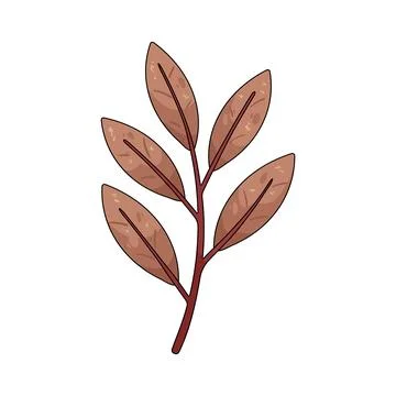 Illustration of dry leaf branch 스톡 일러스트