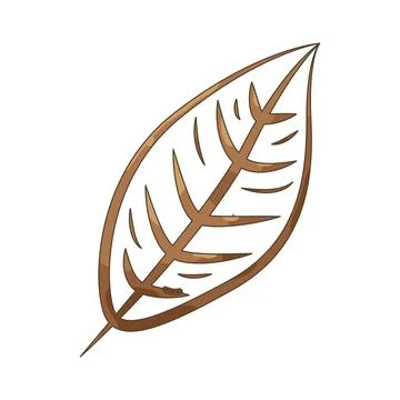 Illustration of dry leaf skeleton Illustrazione stock