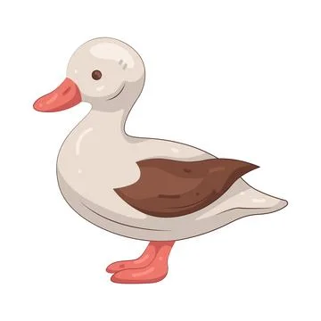 Illustration of duck Stock Illustration